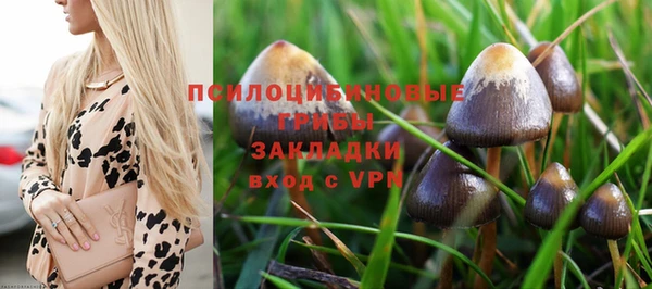 PSILOCYBIN Волоколамск