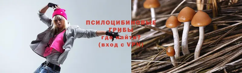 shop формула  купить наркотики сайты  Губкинский  Галлюциногенные грибы Psilocybe 